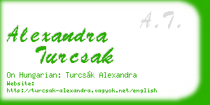 alexandra turcsak business card
